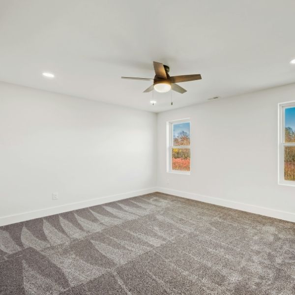 Carpet Cleaning